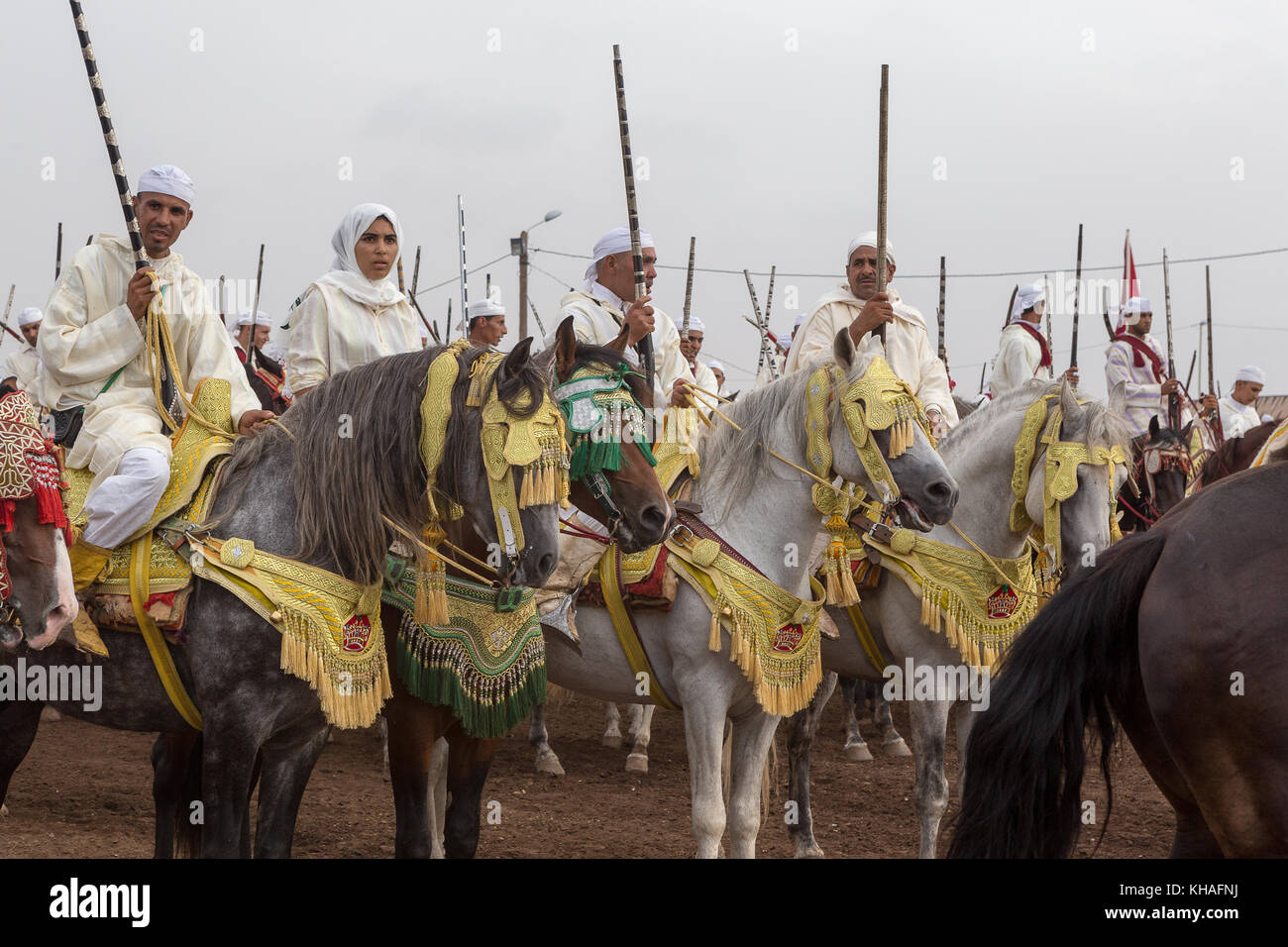 Araber berber pferde Stockfotos und bilder Kaufen Alamy