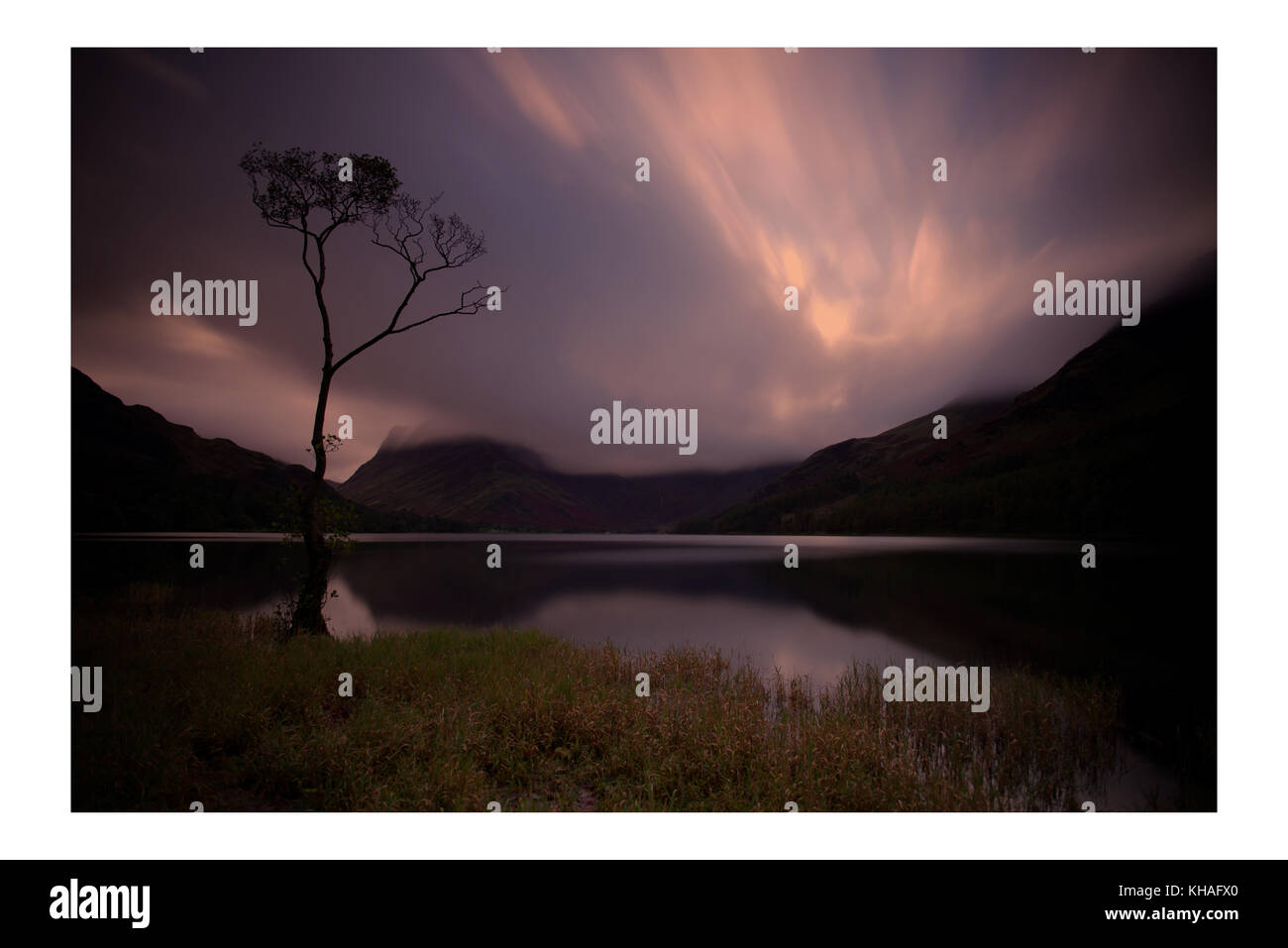 Ein einsamer Baum auf buttermere Lake, Lake District, Cumbria. England. Stockfoto