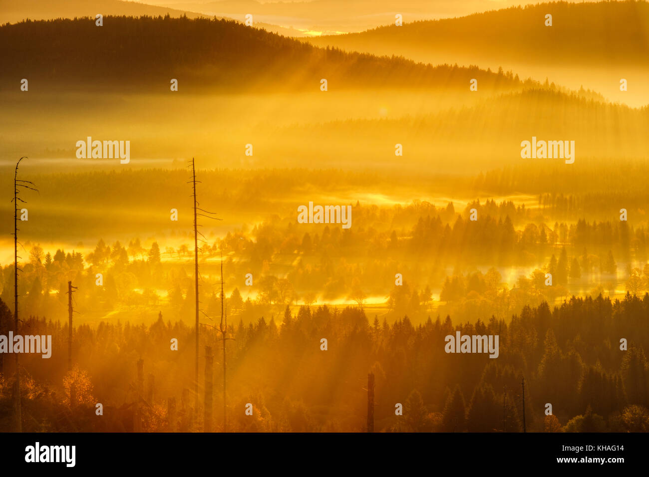 Morgennebel im Nationalpark Sumava in Tschechien, Šumava, Blick vom Siebensteinkopf, in der Nähe von Finsterau, Bayerischer Wald Stockfoto