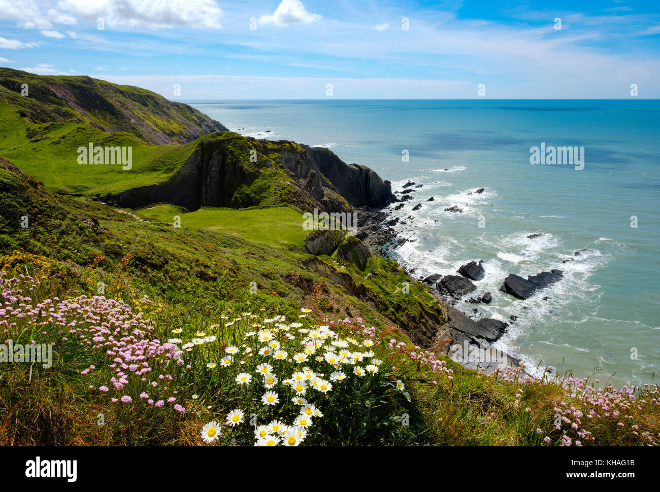Steilküsten, Hartland Quay, Hartland, Devon, England, Großbritannien Stockfoto