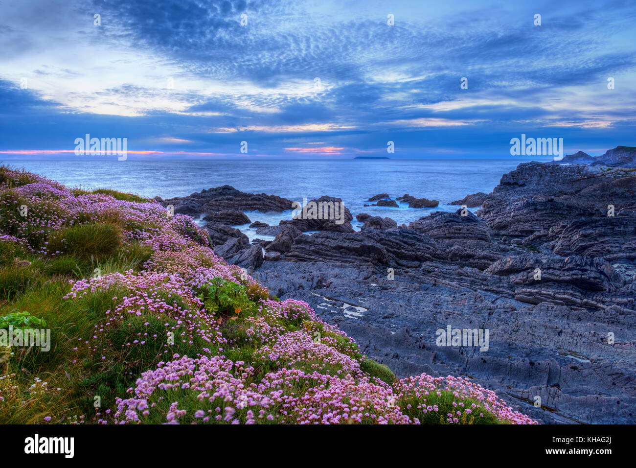 An der felsigen Küste in der Abenddämmerung, screda Punkt in der Nähe Hartland Quay, Hartland, Devon, England, Großbritannien Stockfoto