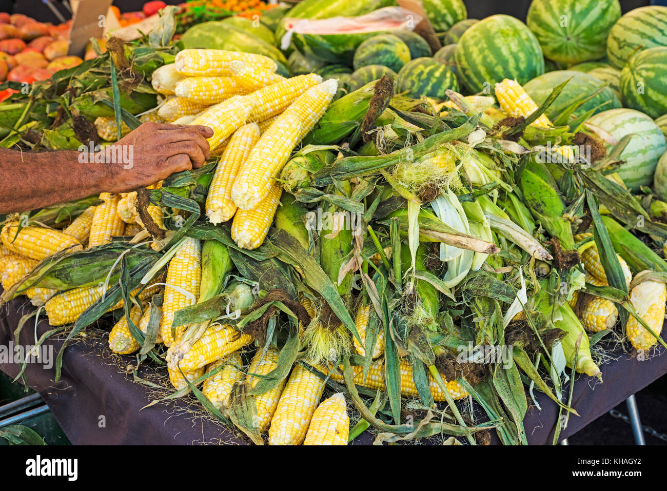 Foto Arbeiter schälen gelber Mais Farmers Market Wassermelonen Stockfoto