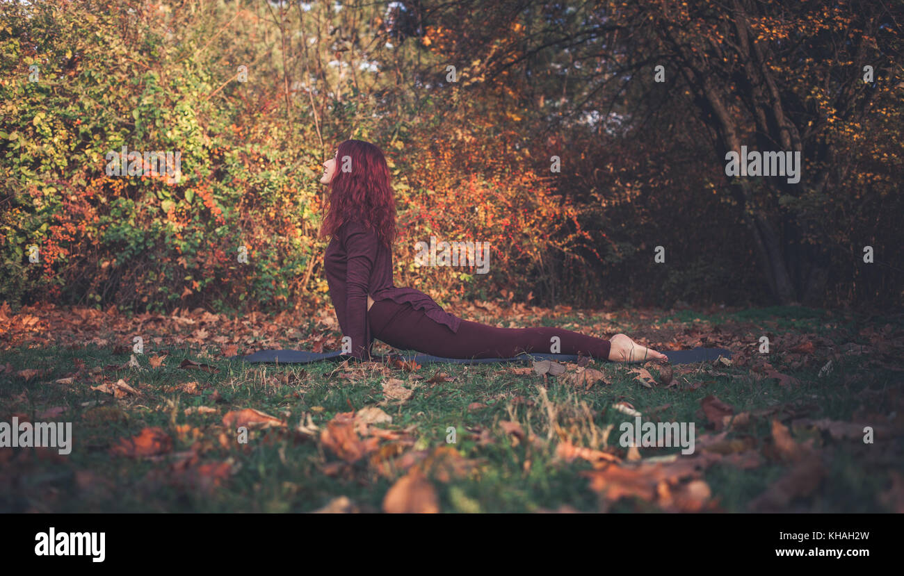 Mädchen an einem strahlenden Herbsttag Üben Yoga im Freien, in den nach oben schauenden Hund (Urdhva Mukha Svanasana) Pose als Folge von sonnengruss Stockfoto