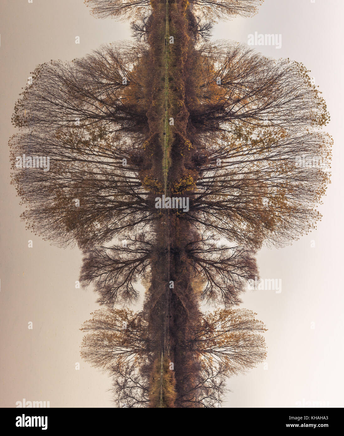 Abstrakte, gedreht, Reflexion riverbank Bäume auf dem ruhigen Wasser des Flusses, Erstellen perfekte natürliche Symmetrie, ähnlich Rorschach Test Bilder Stockfoto