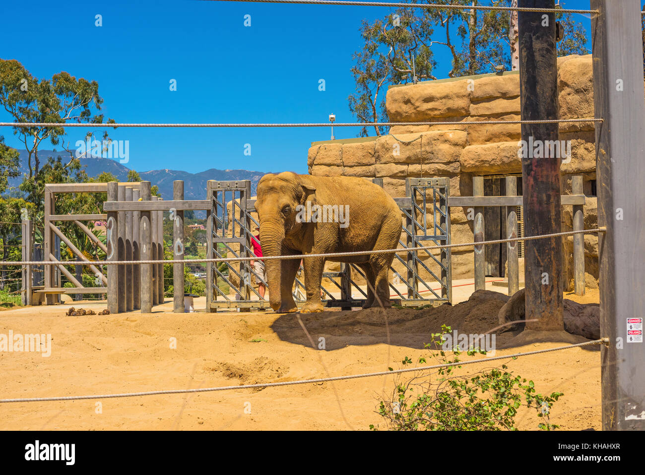 Foto Elefantendame santa barbara Zoo zentralen Kalifornien Stockfoto