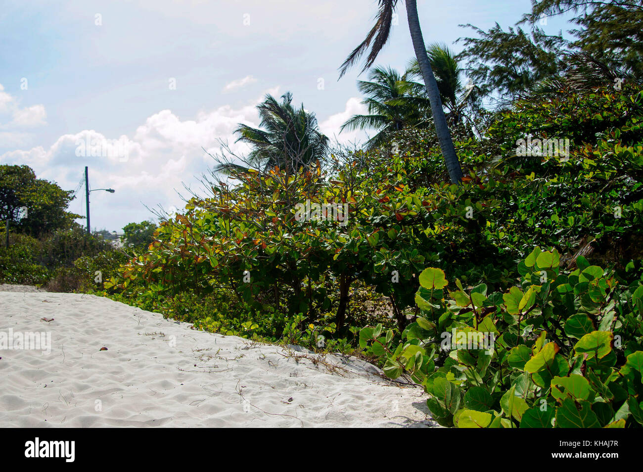 Silversands Beach; Silver Sands, Christ Church, Barbados Stockfoto