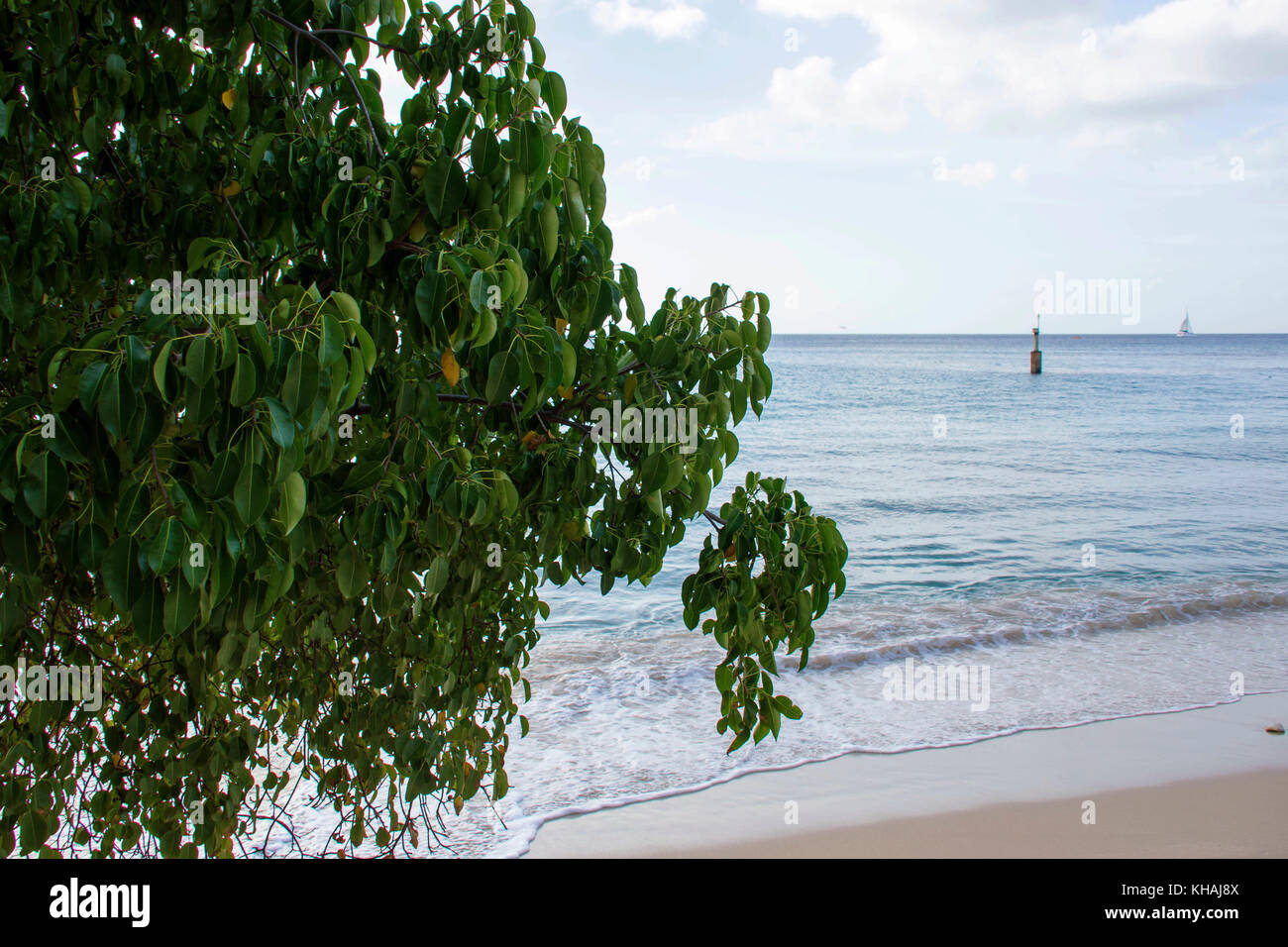 Weston Beach; Weston; St. James, Barbados. Stockfoto