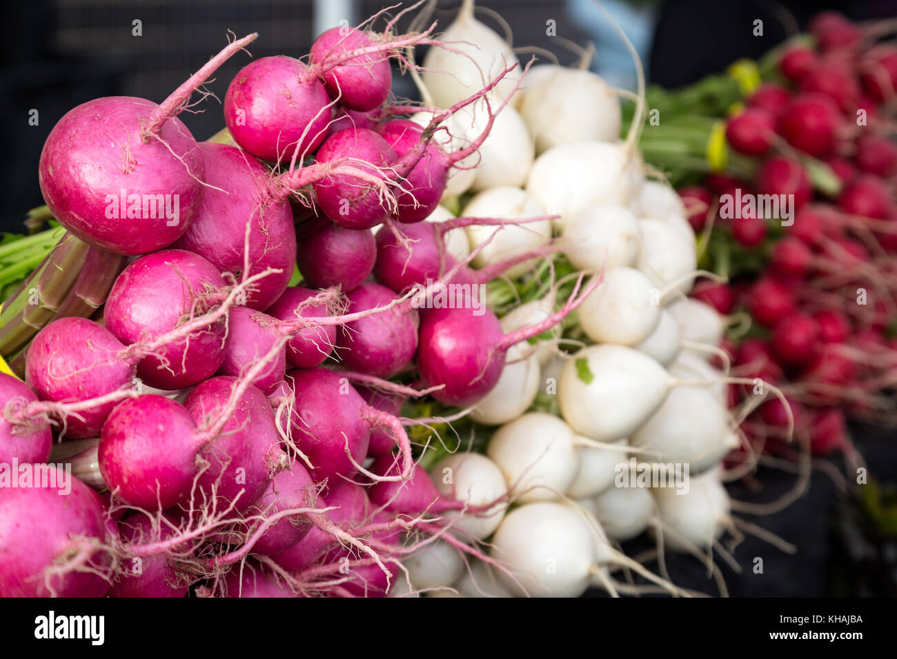 Frische organische Rüben Stockfoto