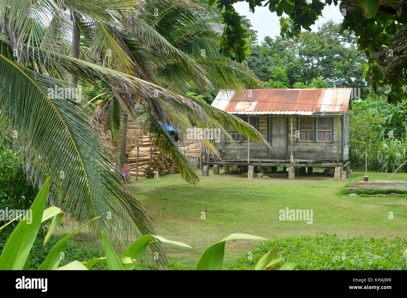 Traditionelle kreolische Dorf auf der karibischen Insel von Nicaragua. Great Corn Island. Mittelamerika Stockfoto