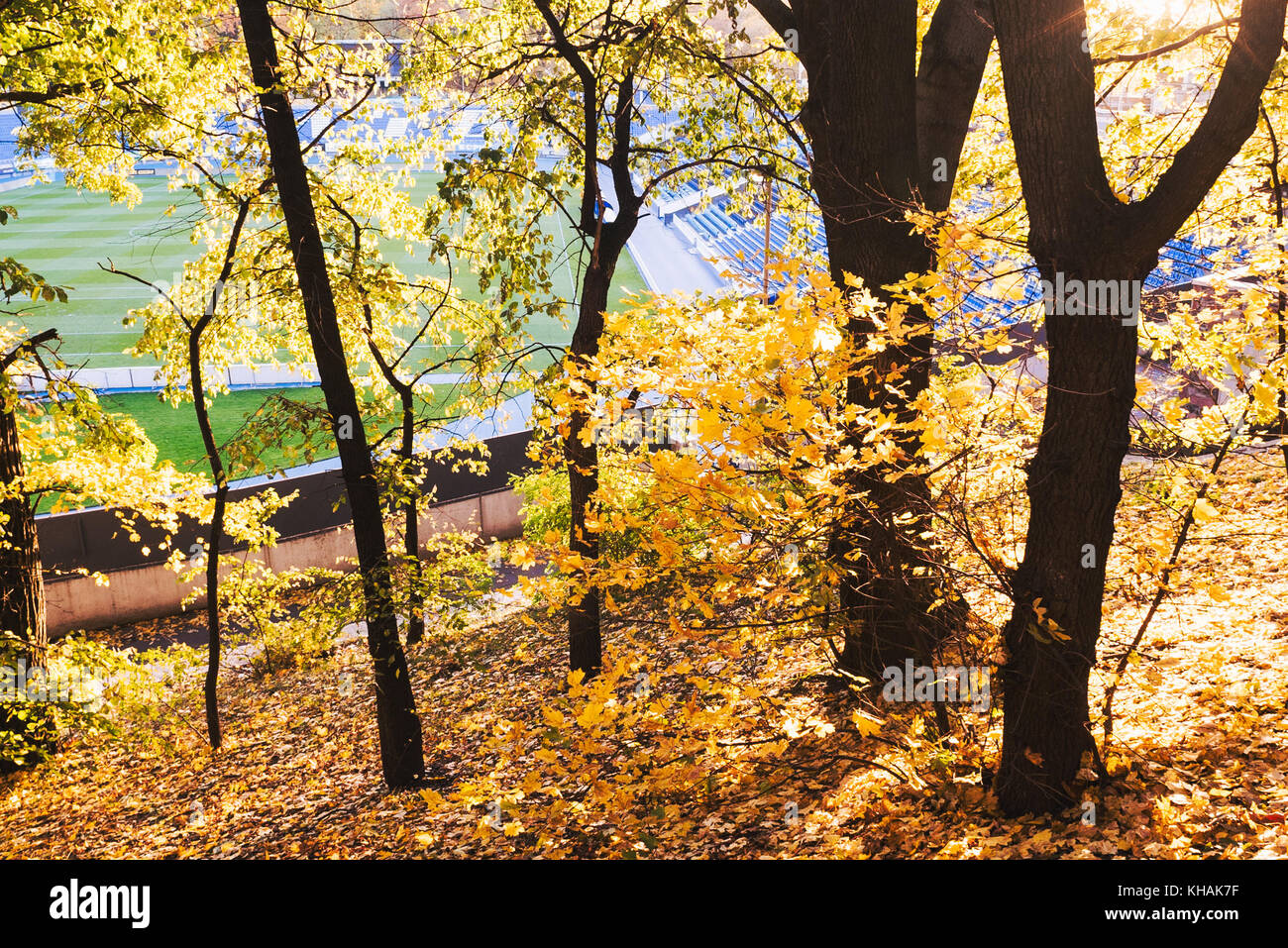 Das Spähen durch an walerij lobanovskyi dynamo Stadion, Kiew, Ukraine ein Goldener Herbst am Nachmittag Stockfoto