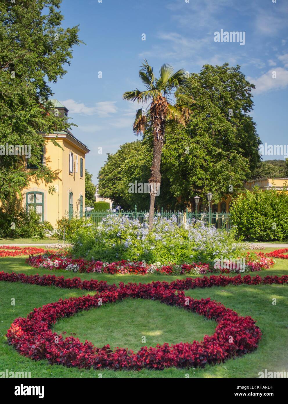 Schlosspark Schönbrunn, gepflegte Blumen um eine Palme, Wien Österreich 7.Juli 2017 Stockfoto