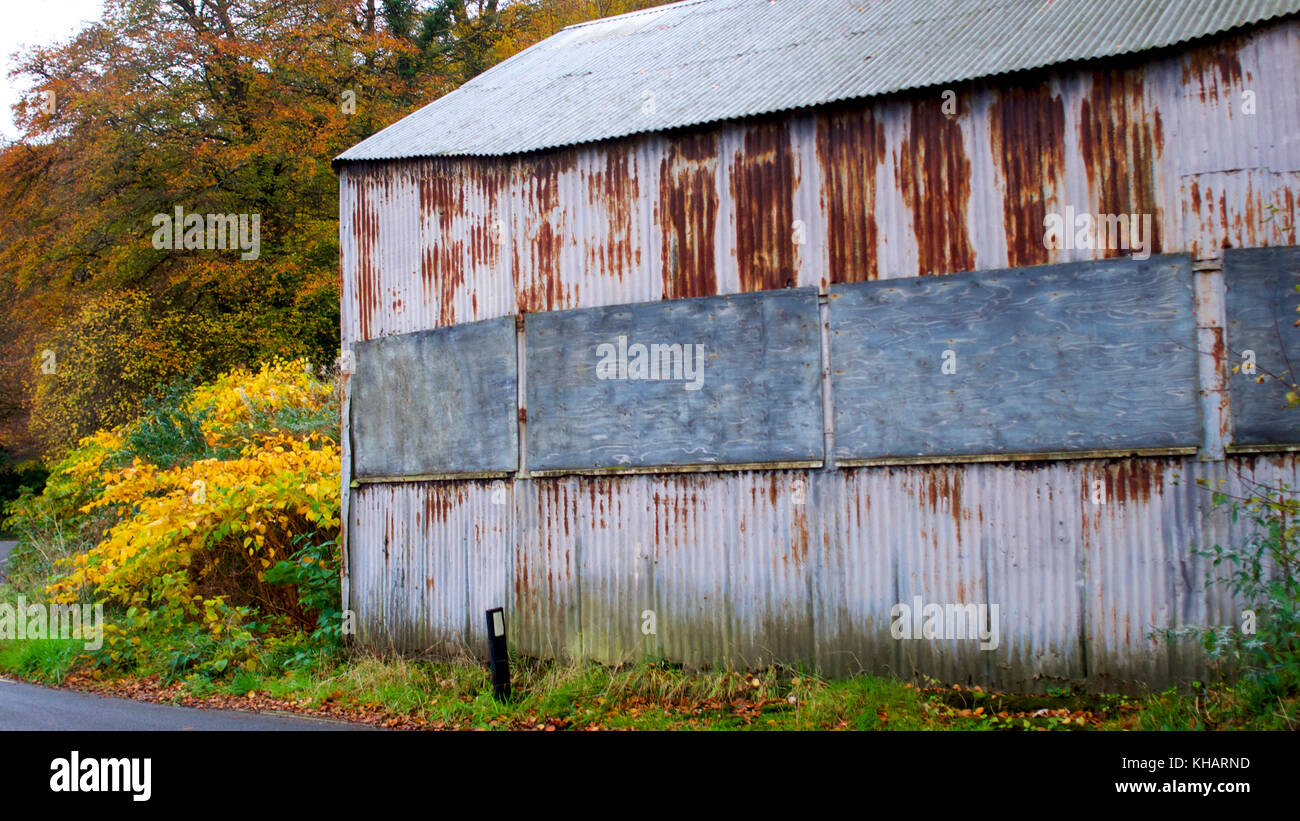 Herbstblätter mit Wellblechschuppen Stockfoto