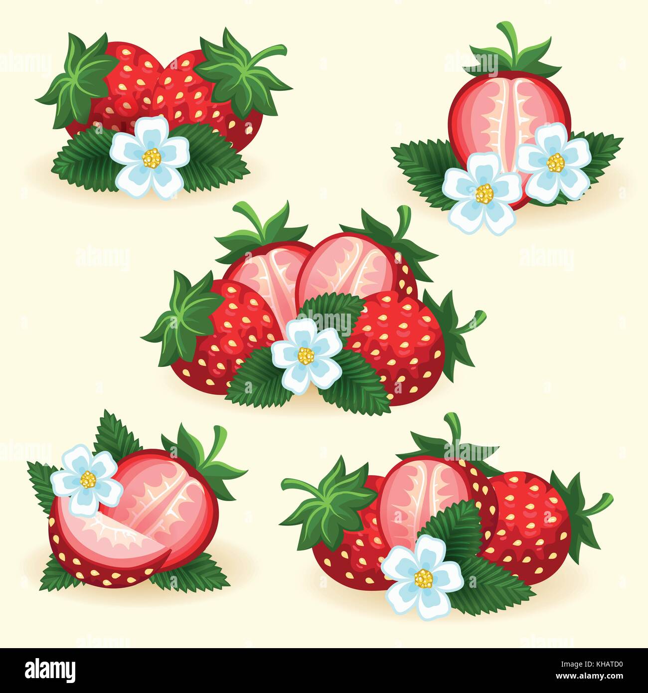 Strawberry frische Früchte mit frischen Schicht, Blätter und Blumen für Logos und Labels vector Abbildung Stock Vektor