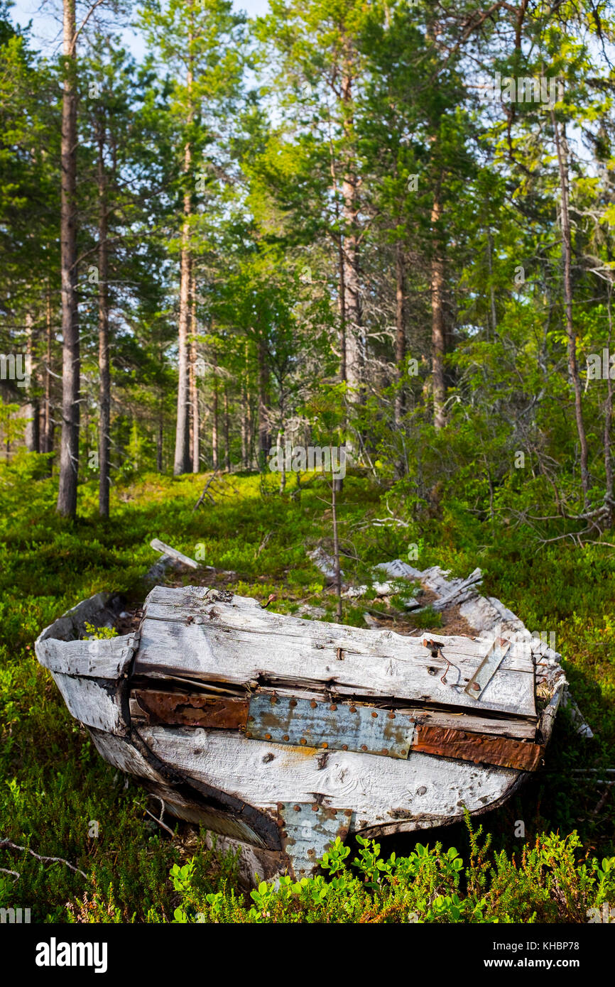 Eine abgebrochene floss in den Wäldern im Norden Schwedens Stockfoto