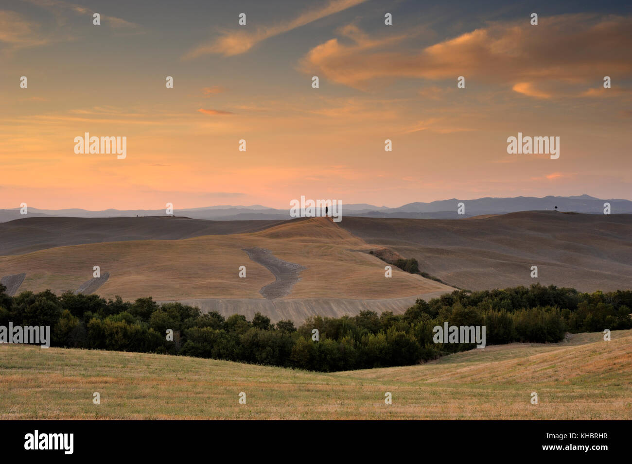 Italien, Toskana, Crete Senesi, Landschaft bei Sonnenuntergang Stockfoto