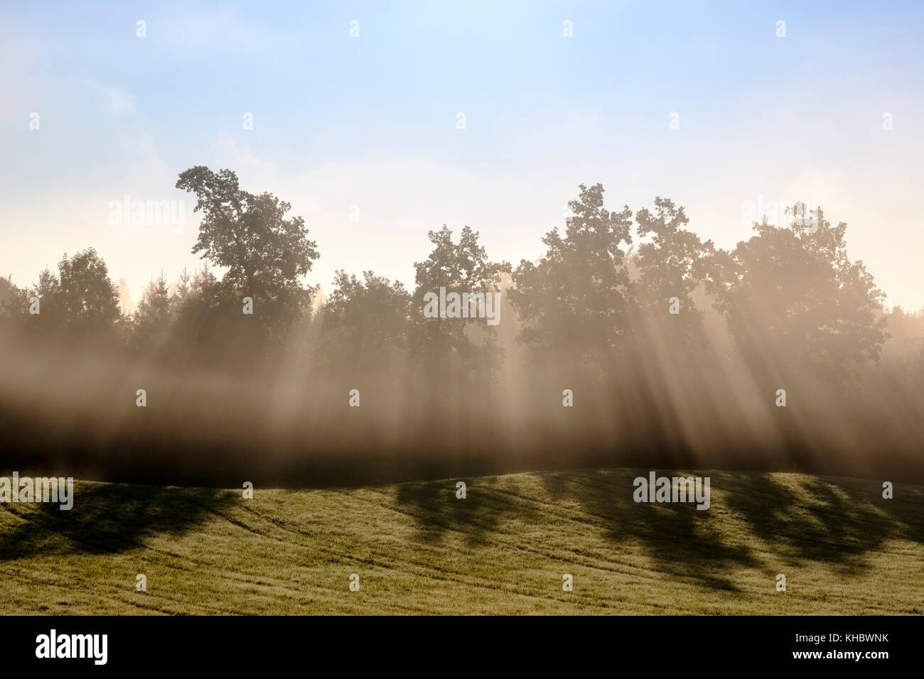 Die Sonnenstrahlen scheinen durch Bäume im Morgennebel, Reichersbeuern, Tölzer Land, Oberbayern, Bayern, Deutschland Stockfoto