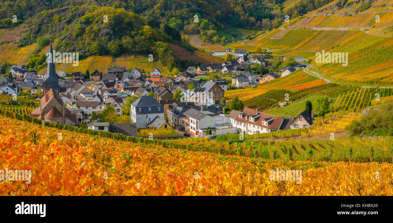 Weinbau im Herbst, Mayschoß, Ahrtal, Rotweinanbaugebiet, Eifel, Rheinland-Pfalz, Deutschland Stockfoto