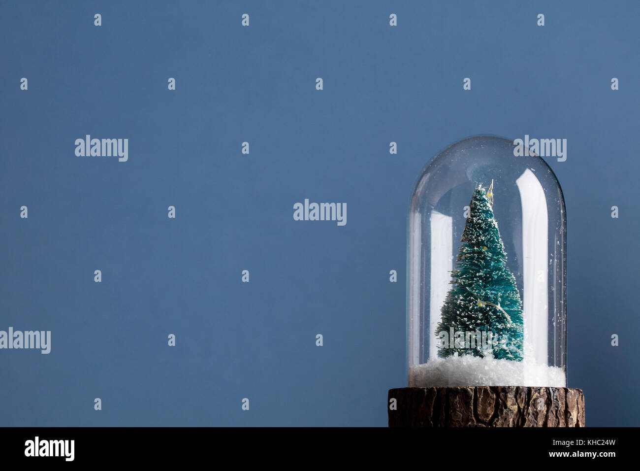 Festliche weihnachten Szene. Weihnachtsbaum in einem Glas snowglobe Stockfoto