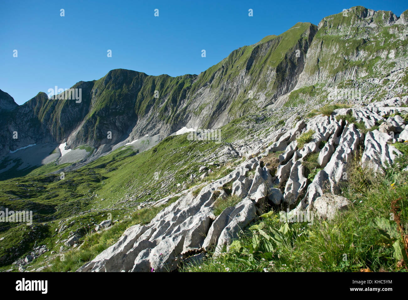 Vanil noir Fotos und Bildmaterial in hoher Auflösung Alamy