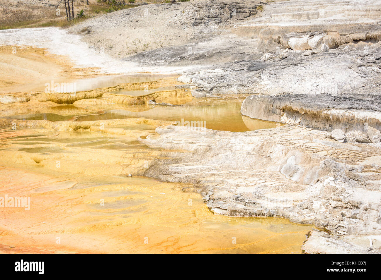 Bunte Travertin Formationen von einer Terrasse in Mammoth Hot Springs Yellowstone Park, USA Stockfoto