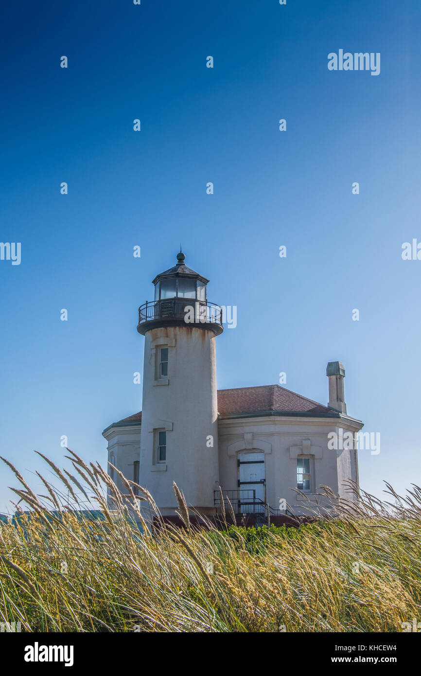 Gräser wehen im Wind vor der coquille Fluss Licht entlang Oregon Küste Stockfoto