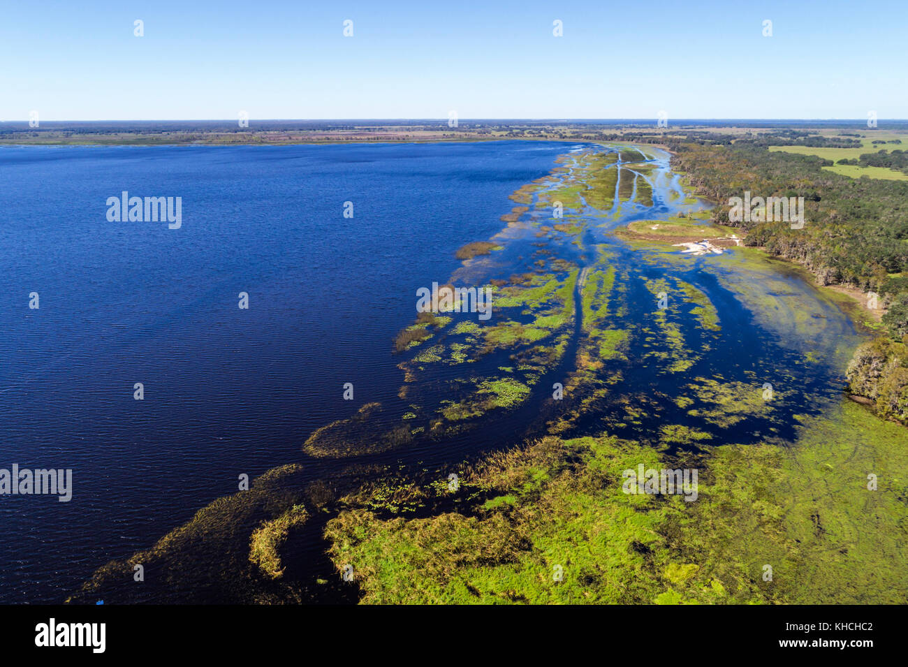 Florida, Kenansville, Cypress Lake, Wasser, Ufer, Bäume, Luft über der Vogelperspektive oben 