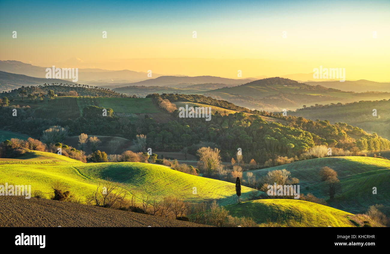 Maremma, ländlichen Sunrise Landschaft. Wald und grünen Felder. Toskana, Italien, Europa. Stockfoto