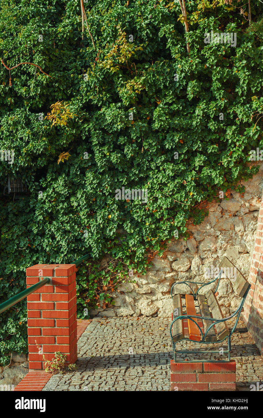 Eine alte Holzbank neben Wand mit viel Grün. Stockfoto