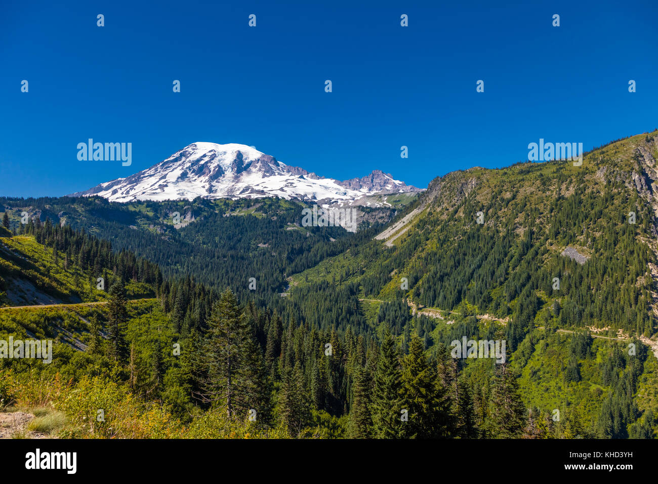 Stevens Canyon Road im Mount Rainier National Park in Washington Vereinigte Staaten Stockfoto