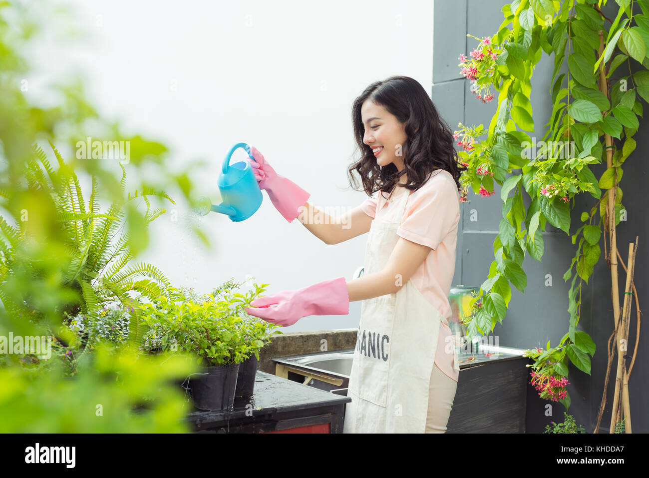 Schöne asiatische Frau Gärtner die Bewässerung der Pflanzen Stockfoto