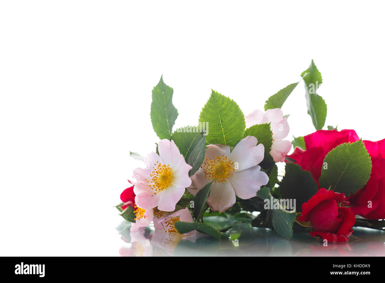 Blumenstrauß aus wild und rote Rose auf weißem Hintergrund Stockfoto