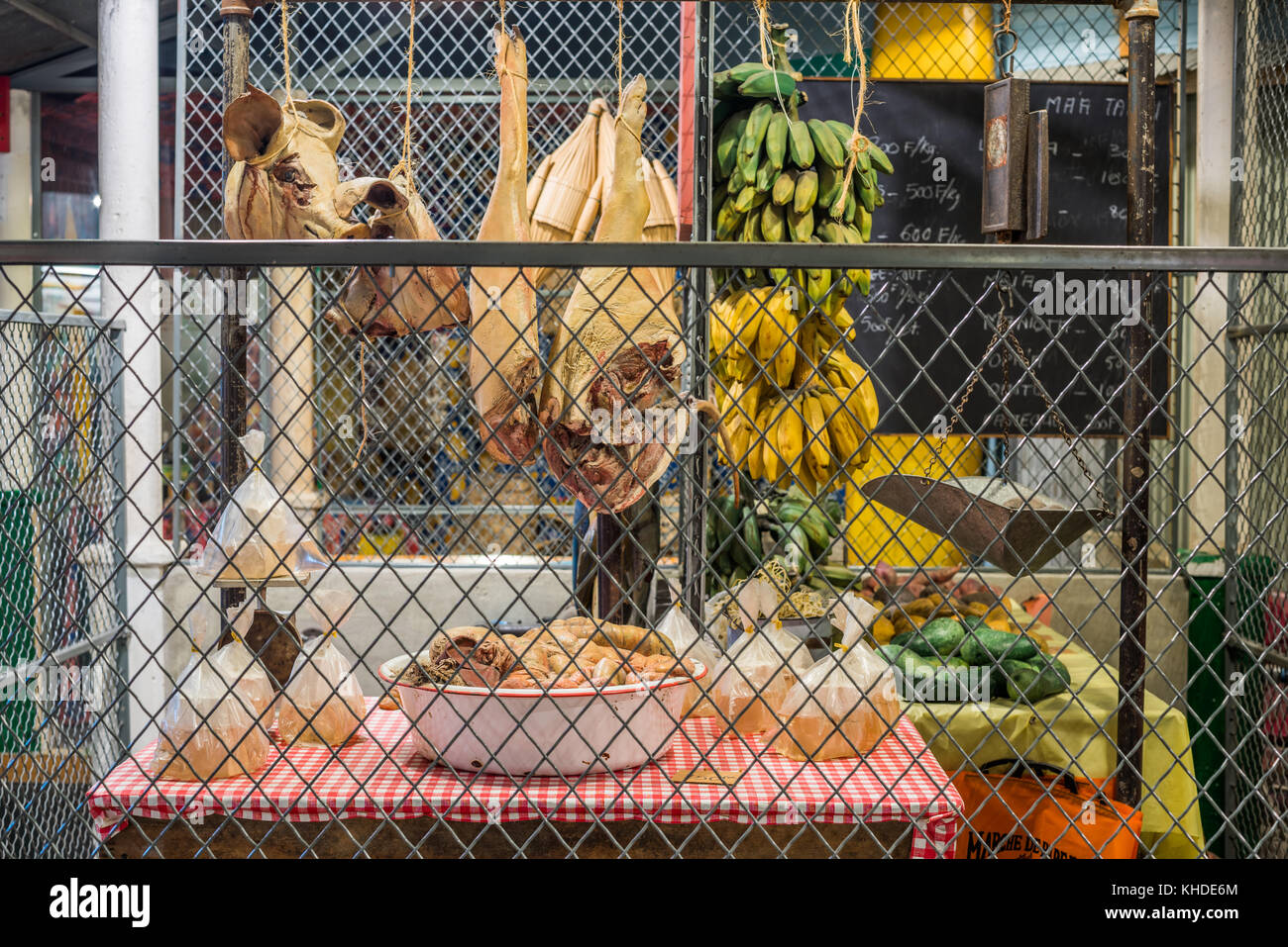 Anzeige im Field Museum of Natural History. Stockfoto