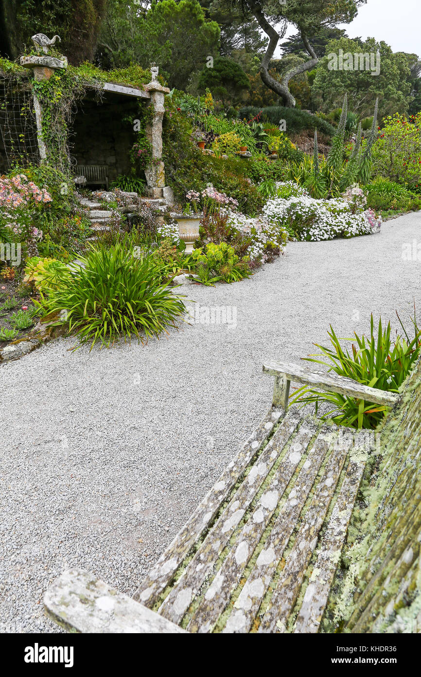 Tresco Abbey Gardens, Tresco, Isles of Scilly, England, Großbritannien Stockfoto Tresco Abbey Gardens, Tresco, Isles of Scilly, England, Großbritannien Stockfoto