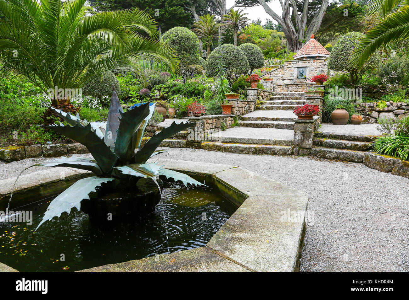 Tresco Abbey Gardens, Tresco, Isles of Scilly, England, Großbritannien Stockfoto Tresco Abbey Gardens, Tresco, Isles of Scilly, England, Großbritannien Stockfoto