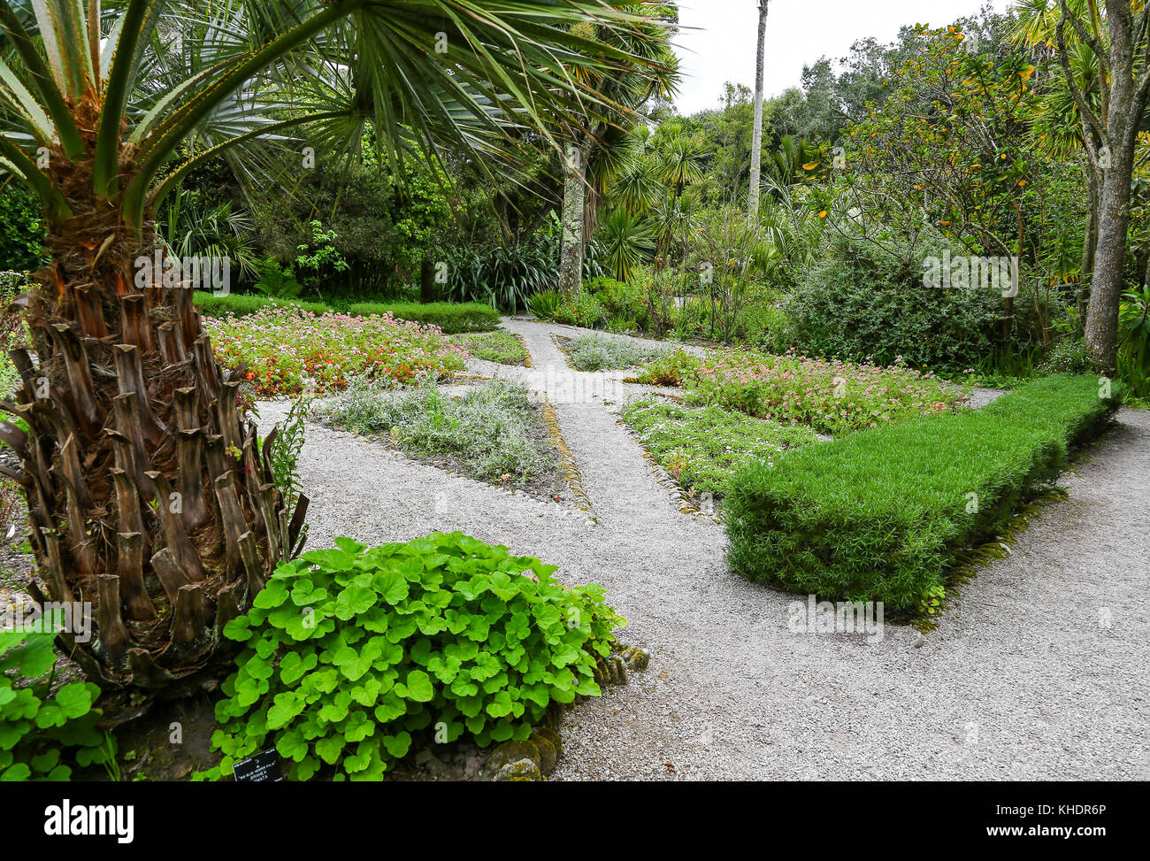Die Flagge garten Tresco Abbey Gardens, Tresco, Isles of Scilly, England, Großbritannien Stockfoto Die Flagge garten Tresco Abbey Gardens, Tresco, Isles of Scilly, England, Großbritannien Stockfoto