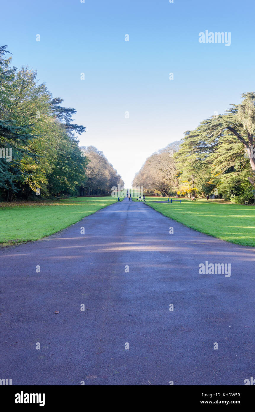 Cirencester Park auf der Bathurst Immobilien in Cirencester Gloucestershire, VEREINIGTES KÖNIGREICH Stockfoto