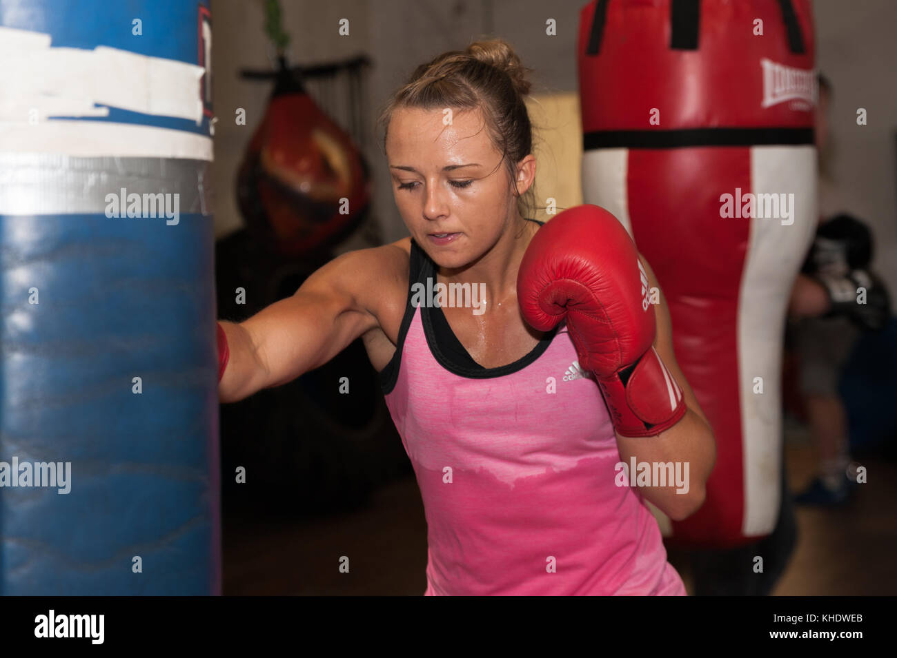 Hannah Robinson ein weiblicher Boxer, ist die englische leichte Titelverteidiger (60 kg) Erarbeitung und Training in einem Fitnessstudio in Bishop Auckland, County Durham. Stockfoto