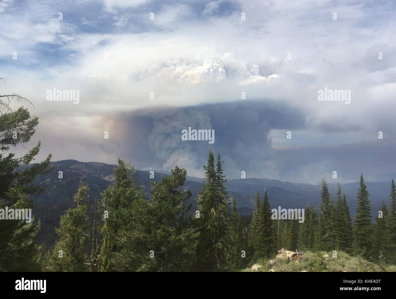 Das Pioneer Fire im Boise National Forest in der Nähe von Idaho City, ID begann am 18. Juli 2016 und die Ursache wird untersucht. Das Pioneer Fire hat 96,469 Acres verbraucht. Foto des U.S. Forest Service. Stockfoto