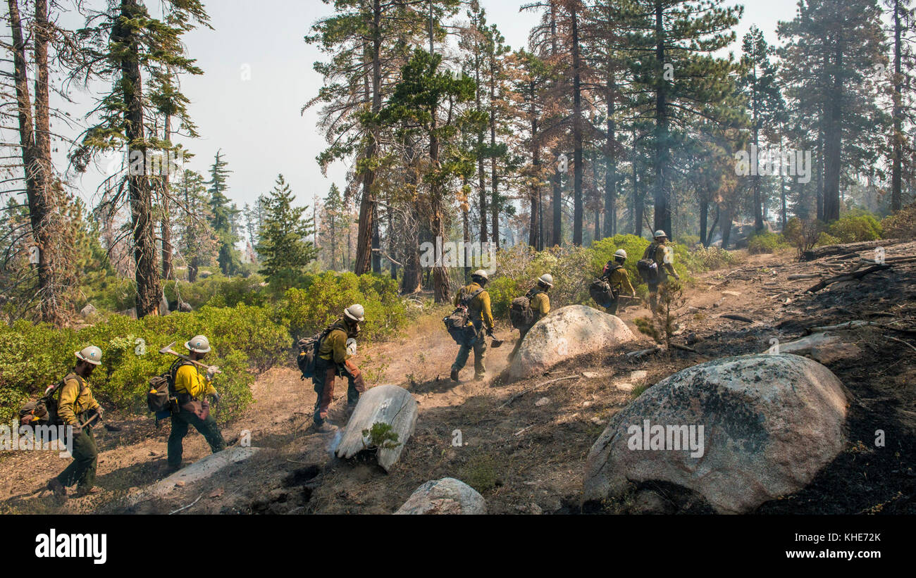Us-Landwirtschaftsministerium (USDA) Forest Service (FS) Smith River Teufelskerl Forstwirtschaft Techniker bewegen Wanderung entlang Feuer ausbricht, um Gefahren zu mindern, indem sie Wege, die von Toten und gefallenen Bäume und Bürste, anderen Besatzungen zu einem besseren Zugang der Region und helfen, die Zeder Feuer im und rund um den Sequoia National Forest und Posey, CA, am Dienstag, den 23. August 2016 blockiert. Stockfoto