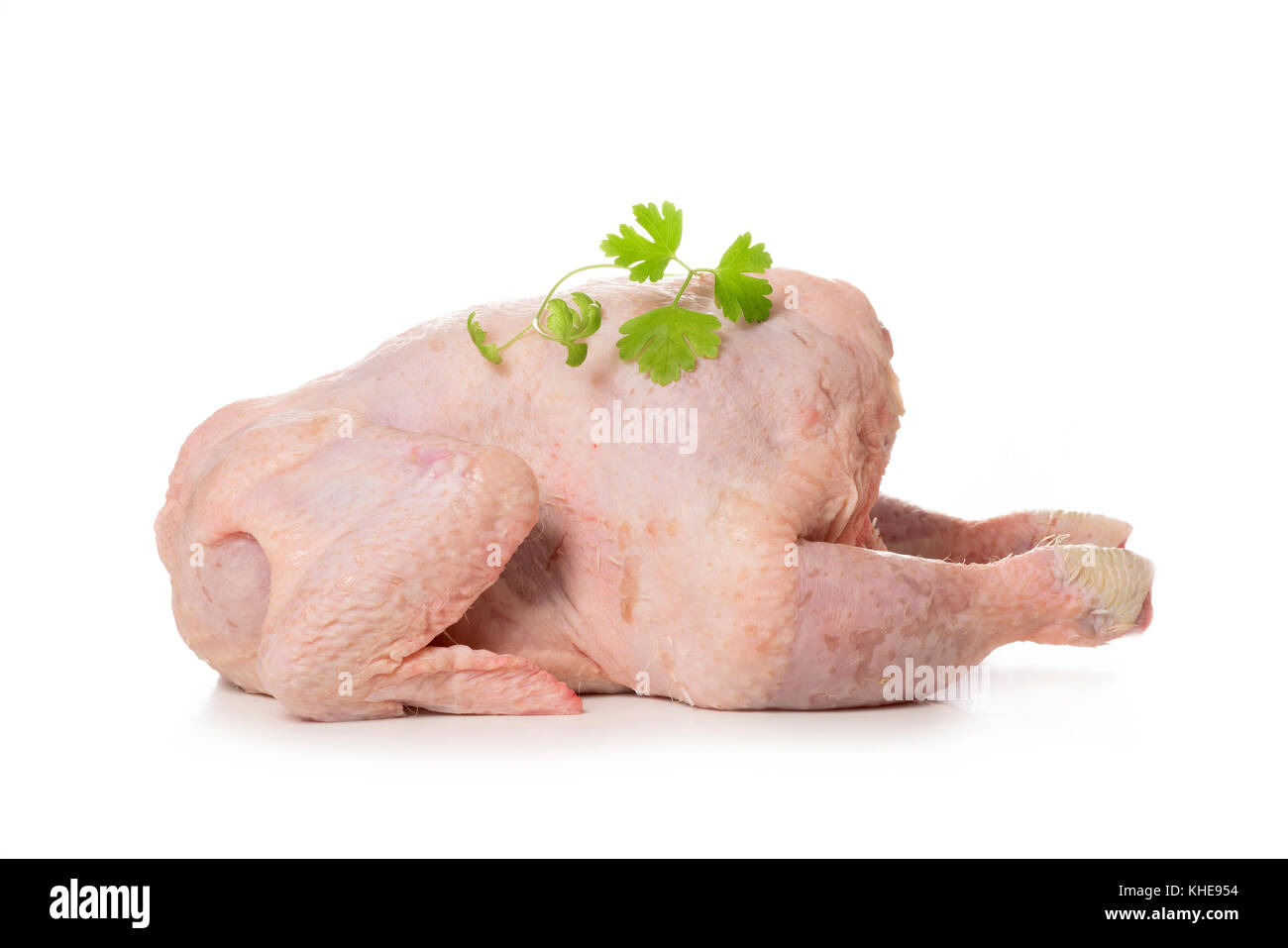 Eine rohe gerupft Türkei garniert mit einem Zweig Petersilie, auf einem weißen Hintergrund, mit einem leeren Raum auf der Oberseite Stockfoto