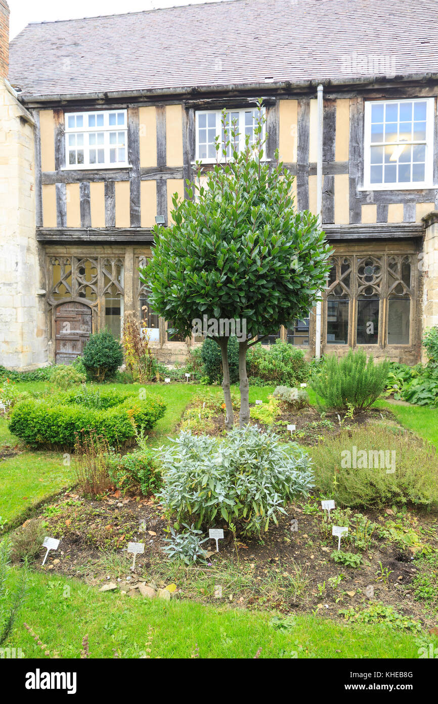 Kräutergarten, der Kathedrale von Gloucester, Gloucester, Gloucestershire, England, Großbritannien Stockfoto