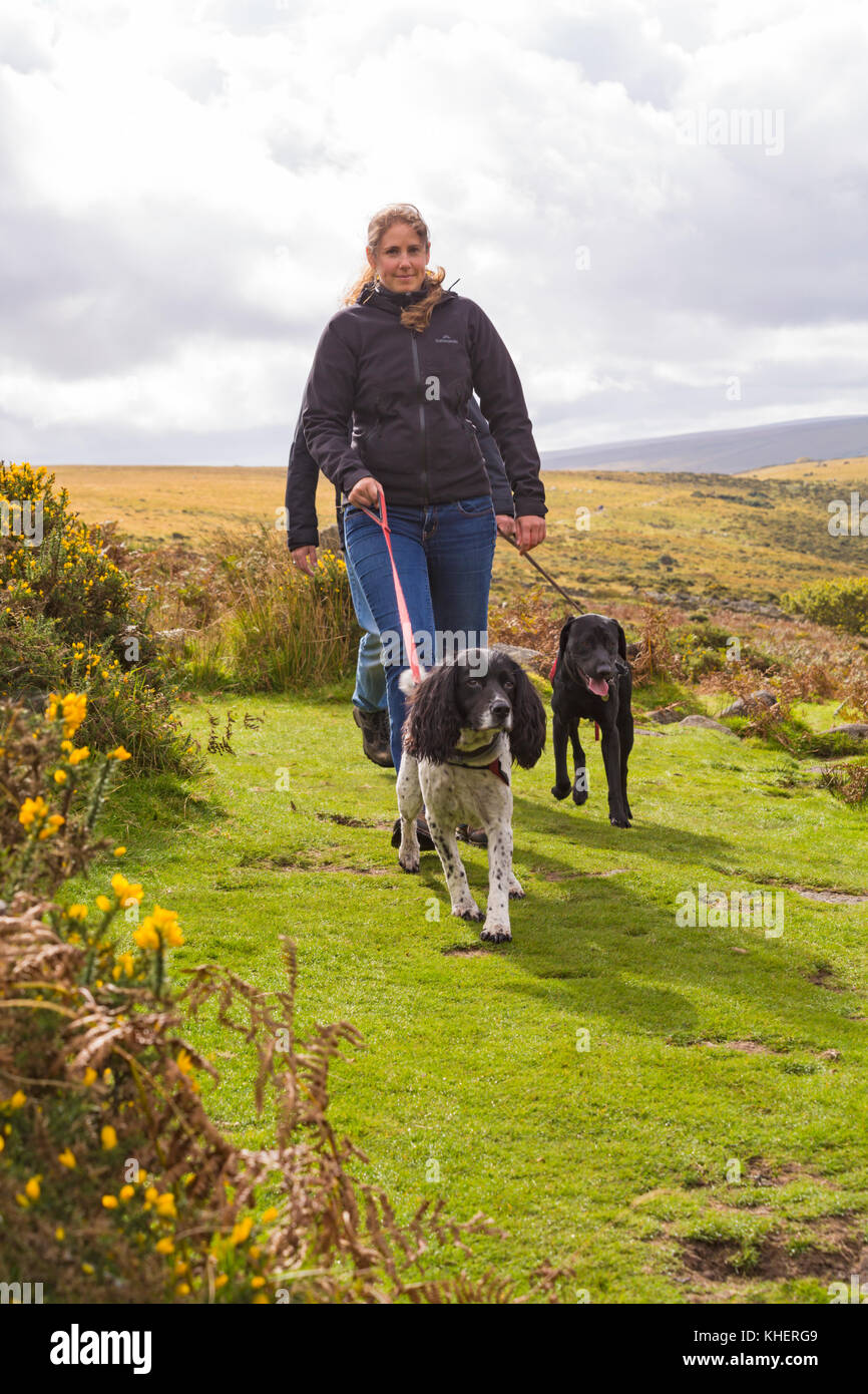 Wenige Hunde in Richtung Wistman's Wood, Nationalpark Dartmoor, Devon, UK im September Stockfoto