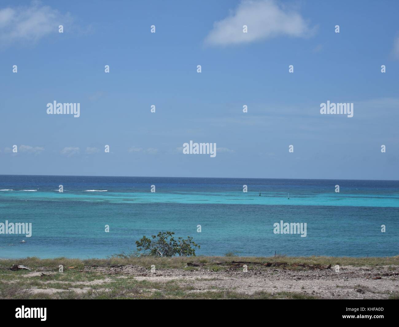 Eagle Beach, Aruba Stockfoto