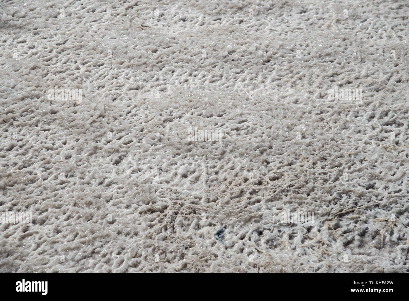 Salz aus dem Toten Meer Stockfoto