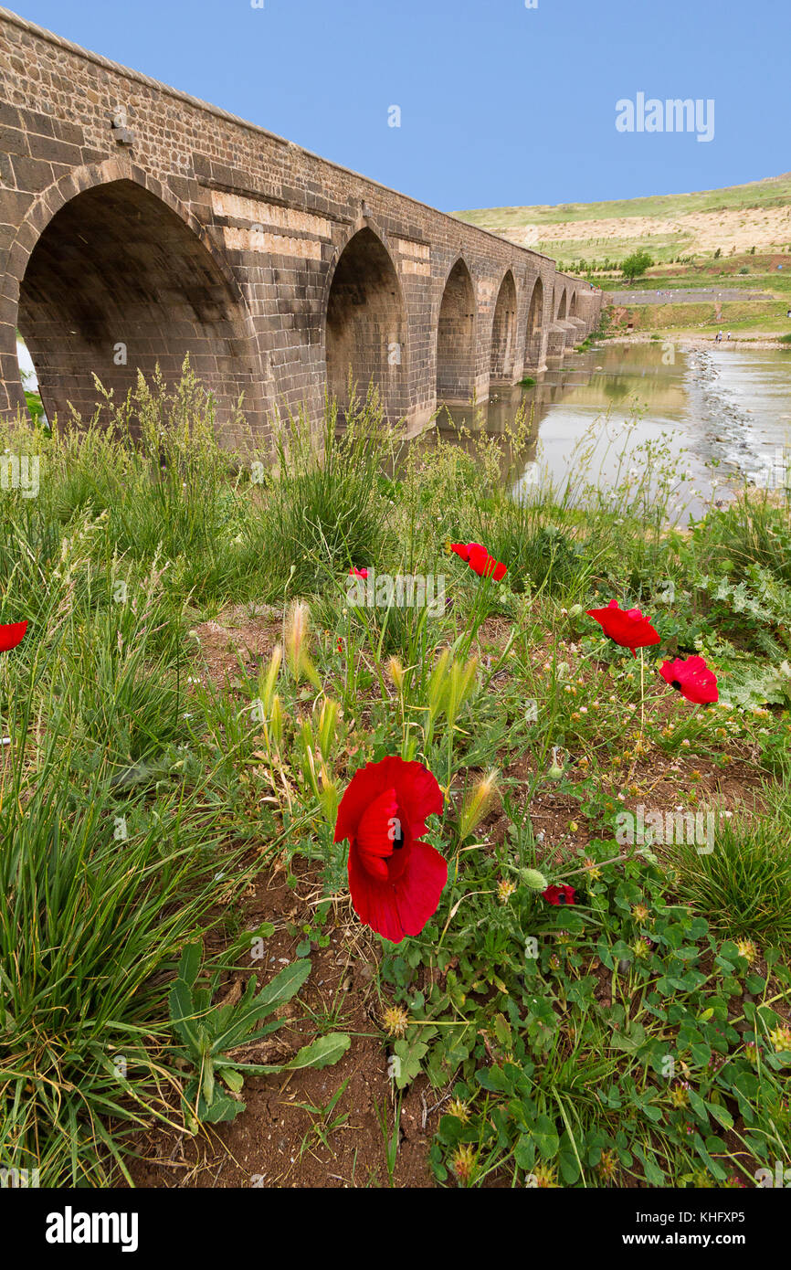 Roter Mohn Blumen und alten Brücke über dem Fluss Tigris, im Hintergrund, in Diyarbakir, Türkei. Die Brücke ist als ongozlu Bridge bekannt und es war Stockfoto