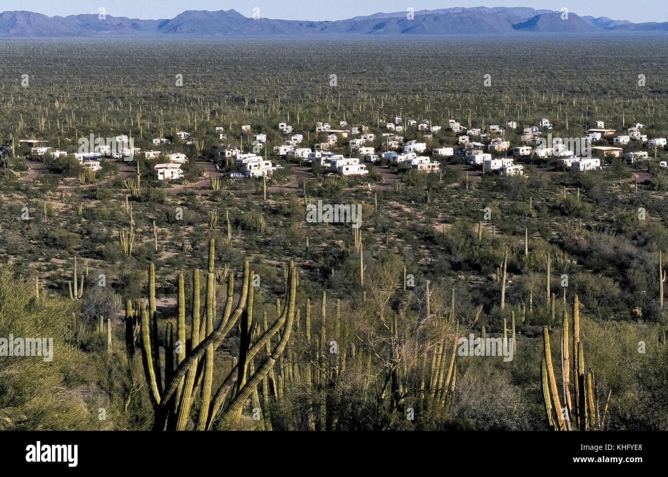 Twin Peaks ist eine von nur zwei Orte, an denen die Besucher können über Nacht im Organ Pipe Cactus National Monument, 517 Quadratmeilen (1338 Quadratkilometer) in der Sonora Wüste im südlichen Arizona, USA abdeckt. Der Park ist der einzige Ort in den Vereinigten Staaten, in denen das Organ Pipe Cactus (Stenocereus thurberi) wild wächst. Die meisten dieser Wildnis war von 2003 bis 2014 geschlossen wegen der Gefahr für die Öffentlichkeit von der Droge Läufer und illegale Einwanderer, die die Grenze überschreiten, das die US-park Aktien mit Mexiko. Der Campingplatz verfügt über 208 Stellplätze für Wohnmobile (RVs) und Zelte. Stockfoto