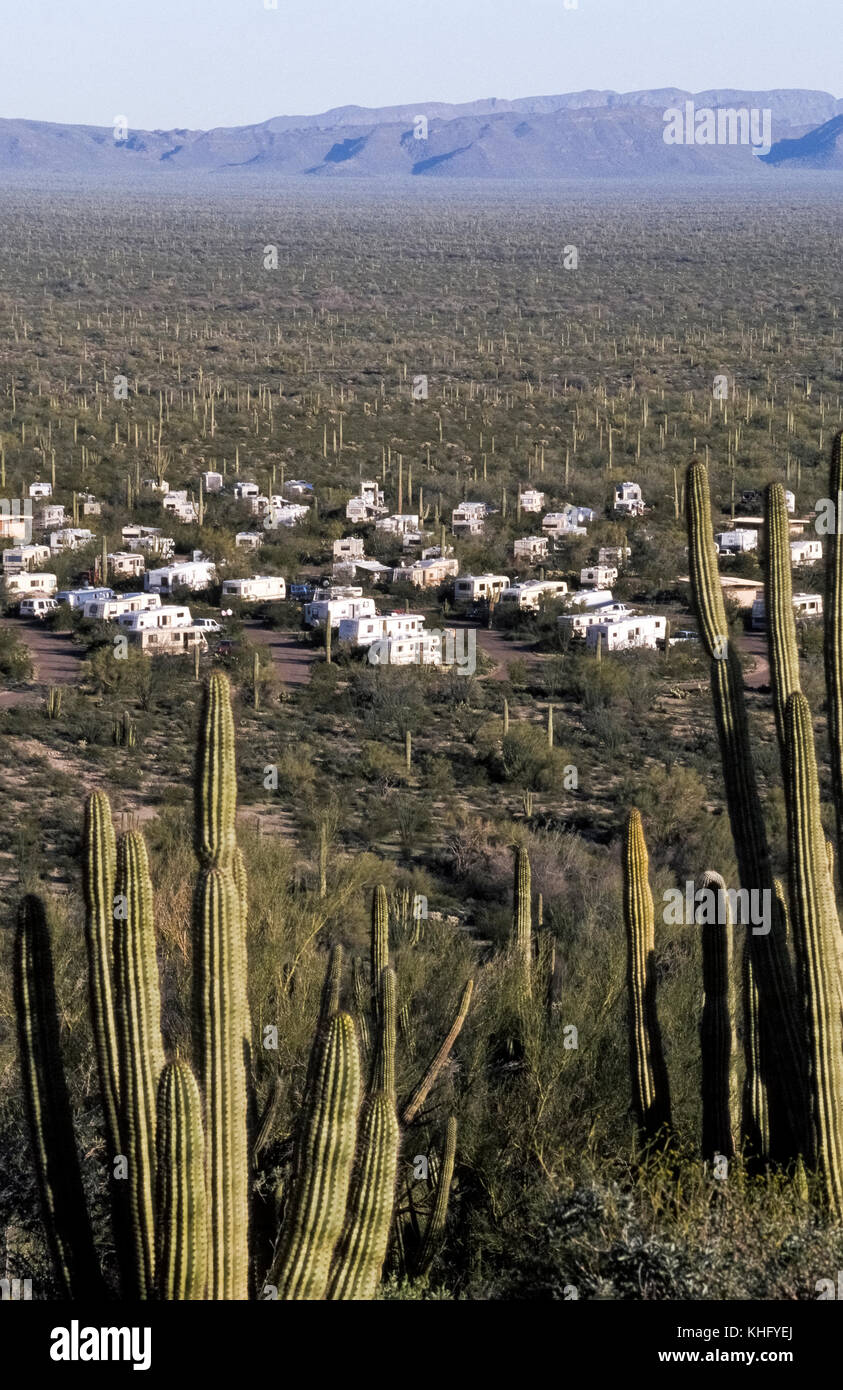 Twin Peaks ist eine von nur zwei Orte, an denen die Besucher können über Nacht im Organ Pipe Cactus National Monument, 517 Quadratmeilen (1338 Quadratkilometer) in der Sonora Wüste im südlichen Arizona, USA abdeckt. Der Park ist der einzige Ort in den Vereinigten Staaten, in denen das Organ Pipe Cactus (Stenocereus thurberi) wild wächst. Die meisten dieser Wildnis war von 2003 bis 2014 geschlossen wegen der Gefahr für die Öffentlichkeit von der Droge Läufer und illegale Einwanderer, die die Grenze überschreiten, das die US-park Aktien mit Mexiko. Der Campingplatz verfügt über 208 Stellplätze für Wohnmobile (RVs) und Zelte. Stockfoto