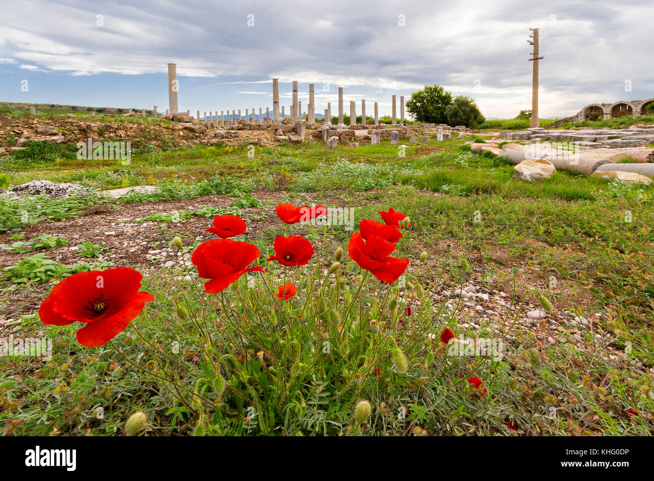 Die Ruinen der antiken Stätte Perge und Roter Mohn in Antalya, Türkei. Stockfoto