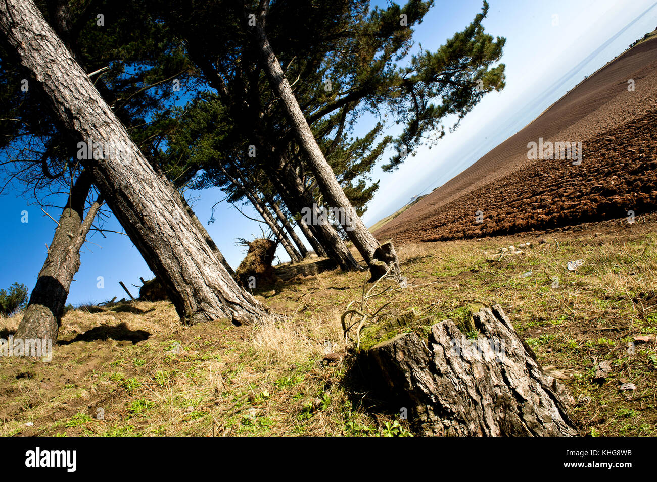 Land and Sea, Lunan Bay, Angus Scotland, Vereinigtes Königreich Stockfoto