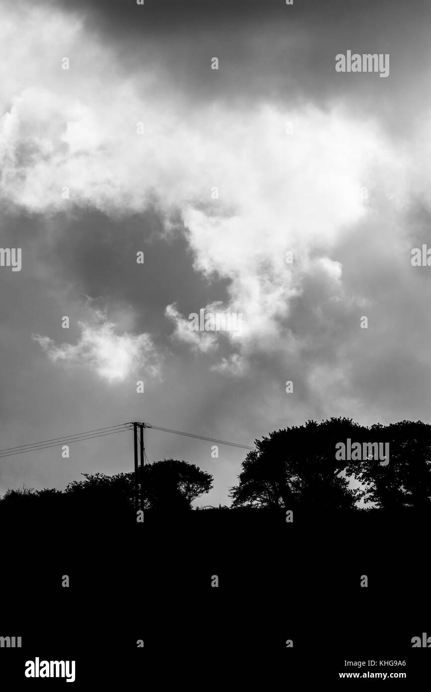 Dramatische Himmel über Silhouetted Bäume und Telefon nach Cornwall, Großbritannien Stockfoto